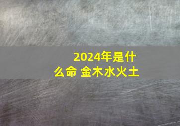 2024年是什么命 金木水火土